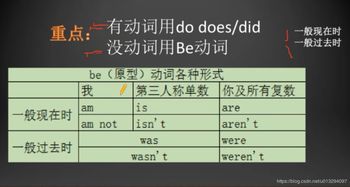 带动词的句子100个字