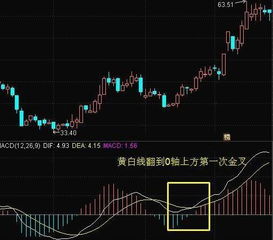 我是第一次玩股票，我想问下，我买的那个股票没有数字，只出现-----这个，别的都有数字，这是怎么回