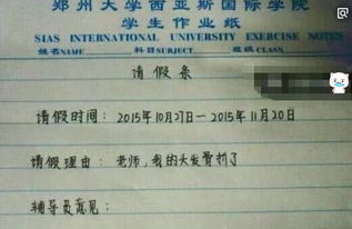 大学生请假条走红,辅导员快要崩溃了,老师我头发骨折了 