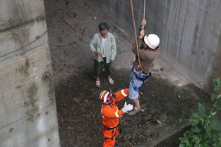 桥洞避雨遇涨水三人被困 雅安消防成功救援 