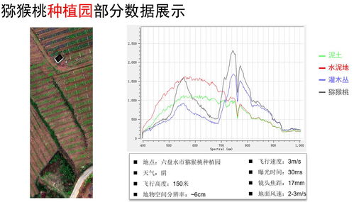 光谱范围,光谱中红外，紫外，可见光的光谱范围分别为多少