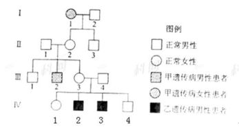 生物遗传病概率怎么算(生物遗传病种类)