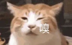 猫咪牙结石,你还在掰开猫嘴刷牙