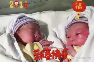 猪宝宝 闹新春丨春节假期,358个猪宝宝争相报到
