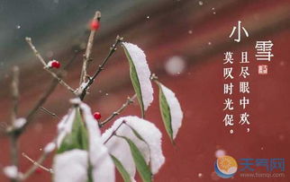 关于小雪节气的诗(关于小雪节气的诗词名句)