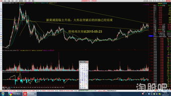 双红股票新黄浦14：30可以进入吗？