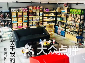 上海浦东新区宠物店 上海浦东新区宠物店宠物 