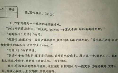 同情的理解作文