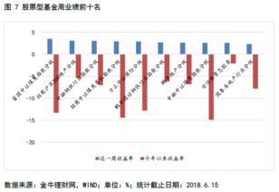 嘉实战略配售混合基金怎么样