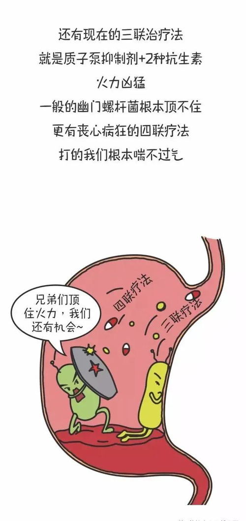 胃病小能手 幽门螺杆菌,到底是怎样的存在
