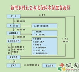 农村社保可以补交吗 (我国农村养老保险费可以补交不)