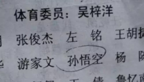 论起名的重要性