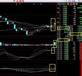 请问股票高手002203这是什么情况,这样的技术面为啥还下跌