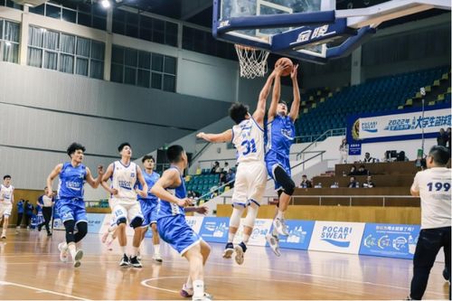 鞍山女子篮球赛事直播时间