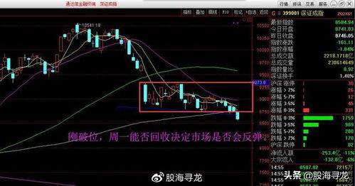 如何从股票代码看出是上海A股或者是深证股尼.