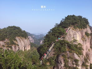 仙居除了仙中，城峰，宏大。其他还有什么普高是不错的呢？请详细介绍，学校有关的情况