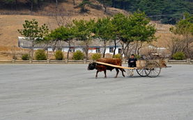 朝鲜内部 平壤及周边地区旅游照 