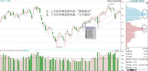 现在哪支股票风险高，获利也高?