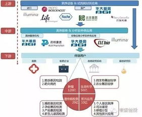 基因检测的公司有哪些？