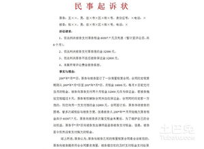 信用卡透支纠纷起诉状,写一份民事起诉状