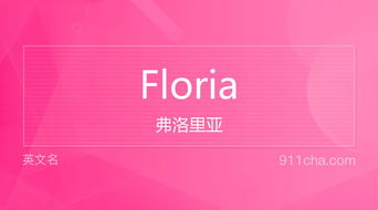 英文名Floria 的意思 性别含义寓意及印象是什么 英文名 911查询 