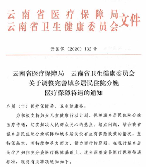 云南省大病医疗保险条例,云南省大病医疗保险报销范围(云南医疗保险大病保险缴费比例)