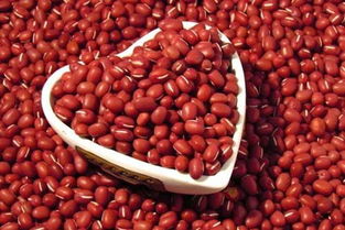 秋冬季吃红豆有哪些功效作用(秋季吃红豆好吗)