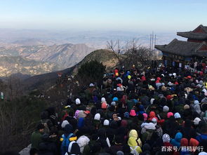 去爬泰山,为什么聪明人从不 夜爬 ,网友 爬一次就懂了