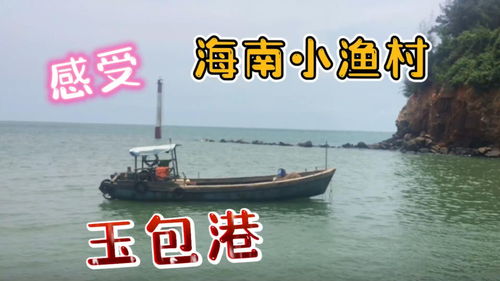 海南生活小常识(海南生活网站)