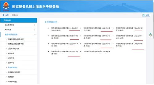 财务报表报送小类如何选择 小企业财务报表报送