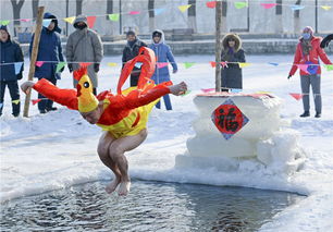 Winter swimmers celebrate Year of the Rooster