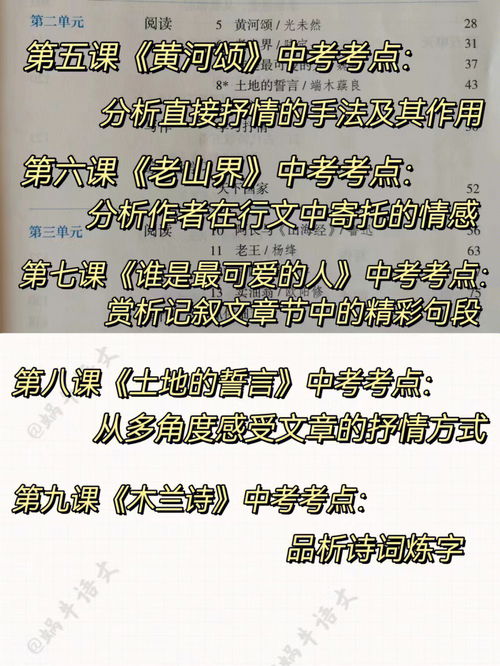 初中语文七年级下册语文没有中考考点 