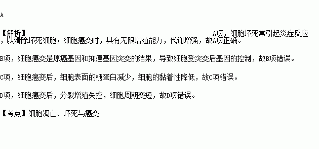 下列有关细胞凋亡.坏死与癌变的说法,正确的是 .A.细胞坏死常引起炎症 细胞癌变,代谢增强B.细胞凋亡受基因控制 细胞癌变不受基因控制C.细胞坏死,膜的通透性降低 