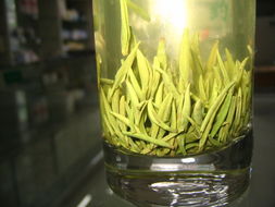 绿茶照片 