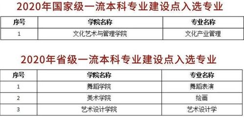 道南教育 不输公办 7所民办艺术院校入选一流本科专业建设点