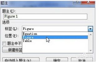 word上传图片怎么样按时间排序(word图片怎么按顺序导入)