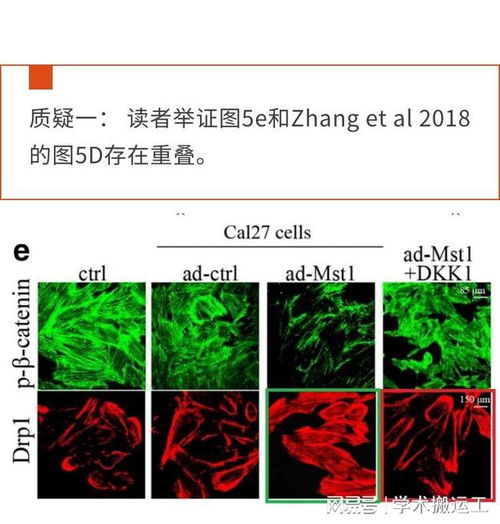 沧州评定论文查重常见问题解答