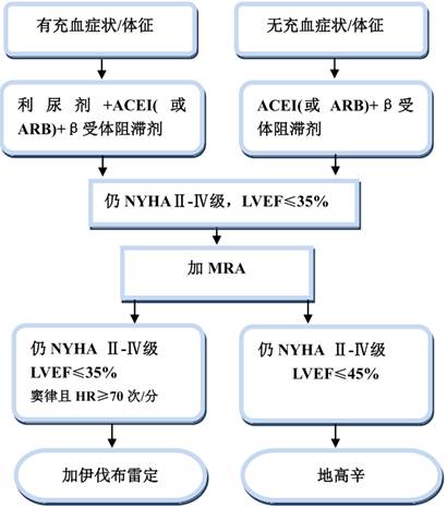 抗心力衰竭药物有哪些，阐述其作用特点并举例