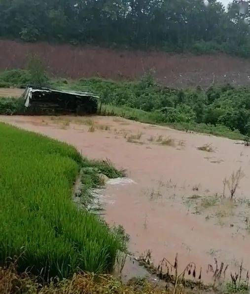 暴雨袭击湖北 随州柳林镇被淹,漫灌的大水淹及牛脖子,多方赴灾区开展救援