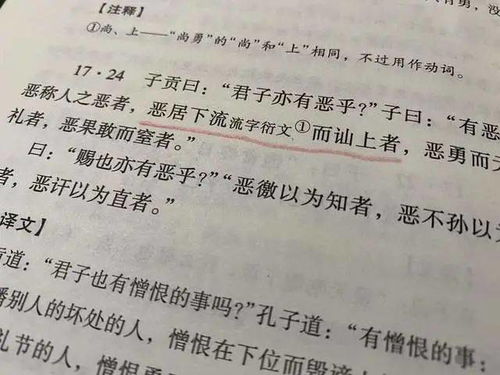 拾的意思解释词语—拾声是什么意思？