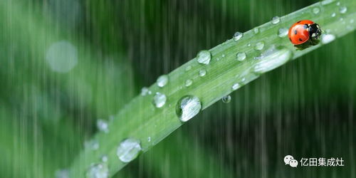 好雨知时节是哪个季节