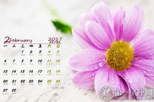 唐立淇2017年2月十二星座运势 