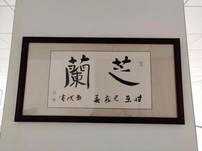 建桥传棋学子喜迁新 家 博弈广读美景如画