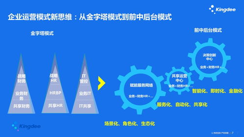 陈琳 疫情来袭,共享中心的挑战 对策及机遇