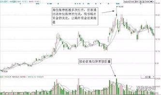 有人知道2007年股市高峰期时，云南白药股价当时是每股多少钱？