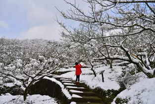 绍兴下周 2 浙江多地今日迎来降雪,还有超强冷空气 台风要来 