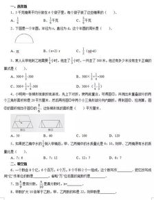 数学专业知识有哪些内容