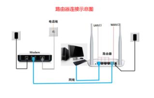 如何避免连接路由器和台式电脑时出现的常见问题？