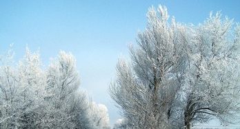 下雪天打雷是什么征兆 下雪天为什么不打雷