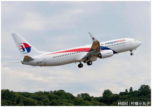 马航波音737max图片
